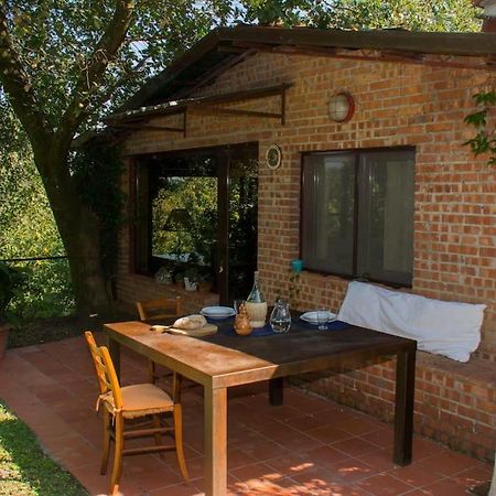 Marziani Rustic Tuscan House Капанари Екстериор снимка