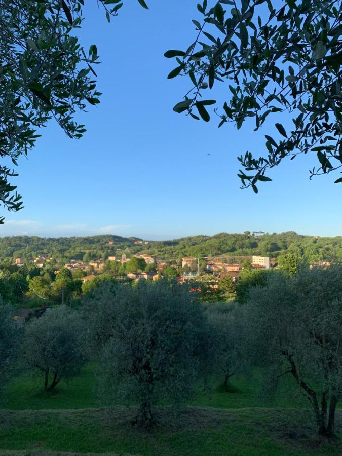 Marziani Rustic Tuscan House Капанари Екстериор снимка