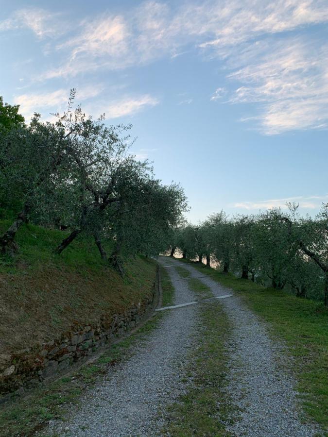 Marziani Rustic Tuscan House Капанари Екстериор снимка